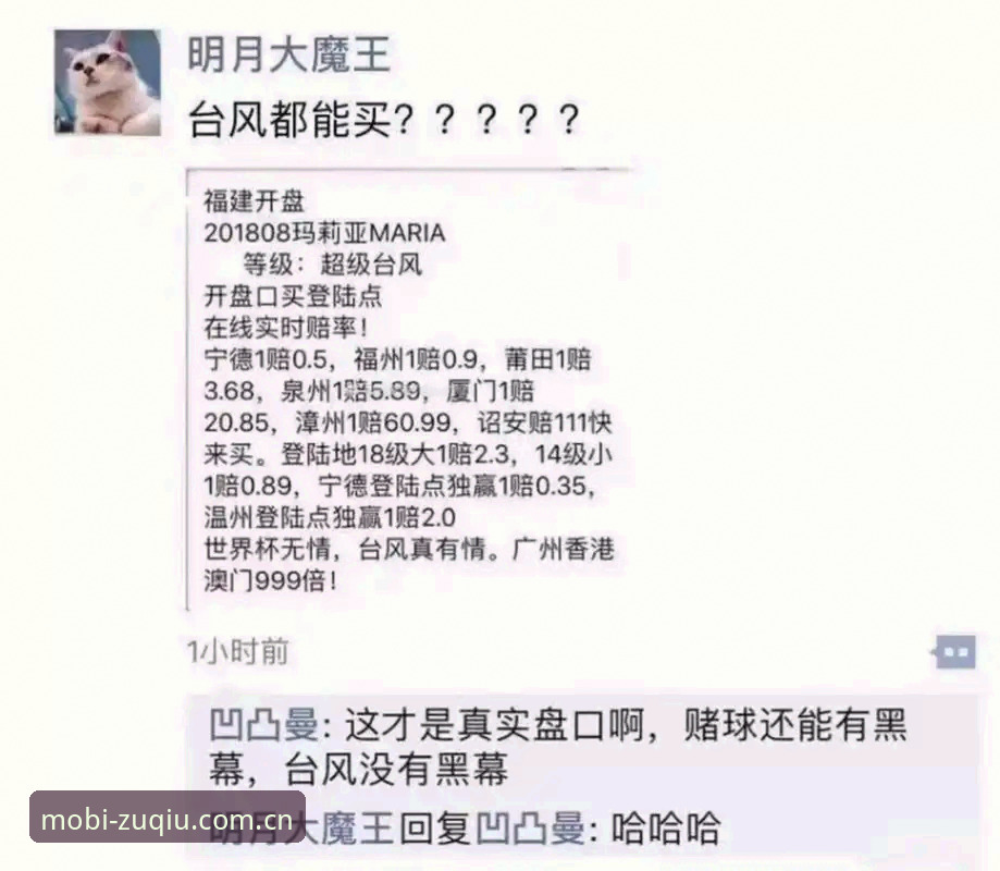 如何找到靠谱的手机买世界杯软件？老用户分享2026世界杯投注经验